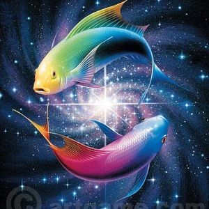 Meet your Posher, Mohammed